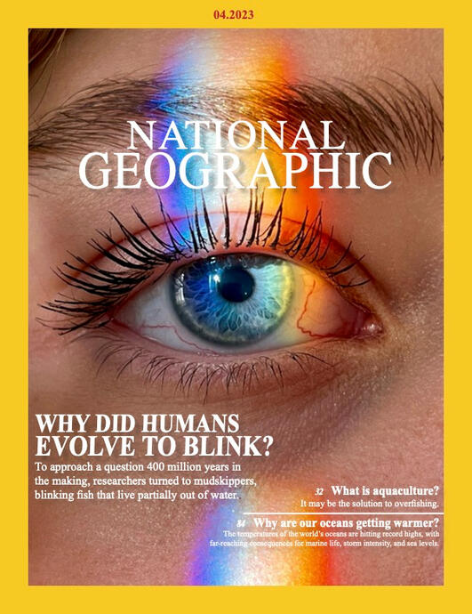 Magazine Cover